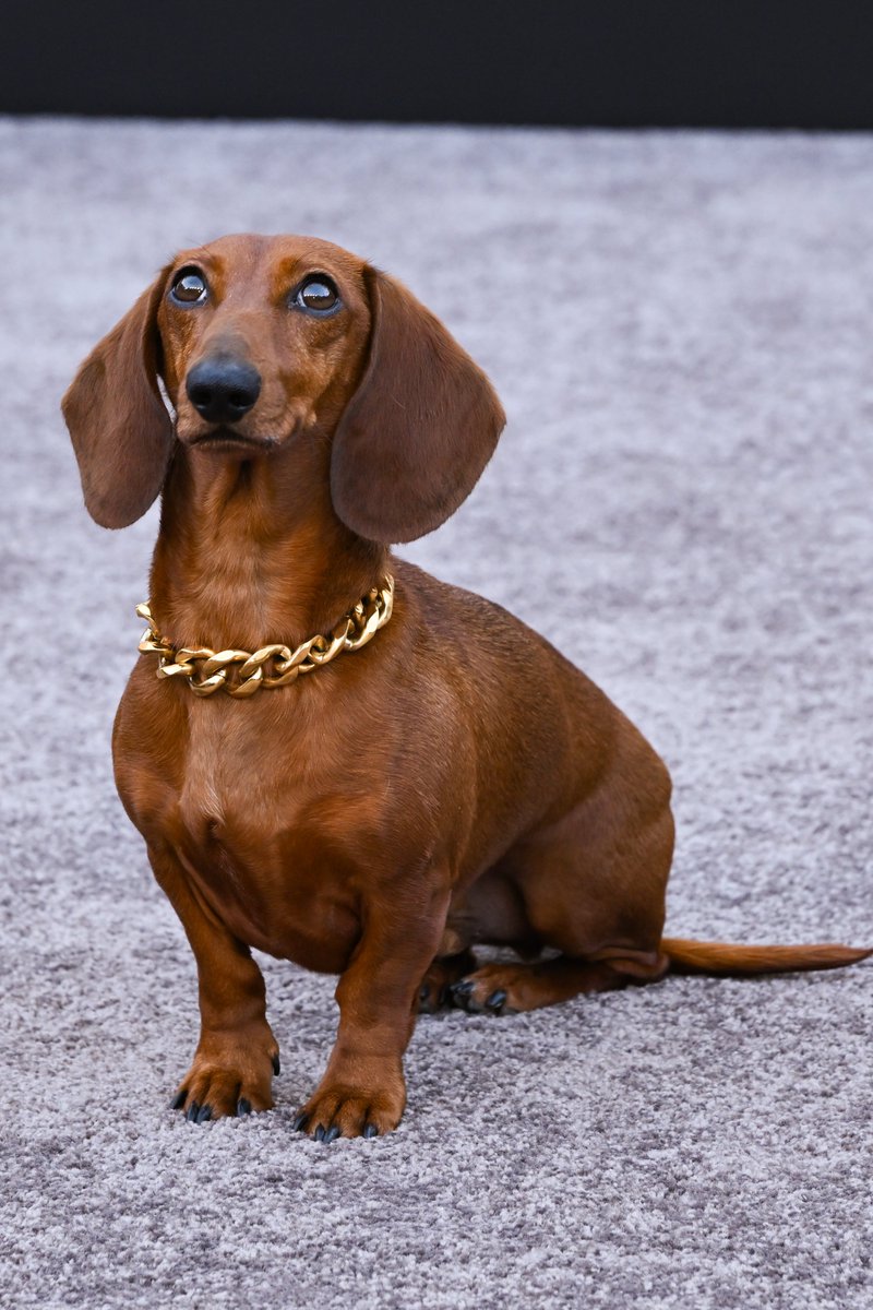 Complex Style tweet media