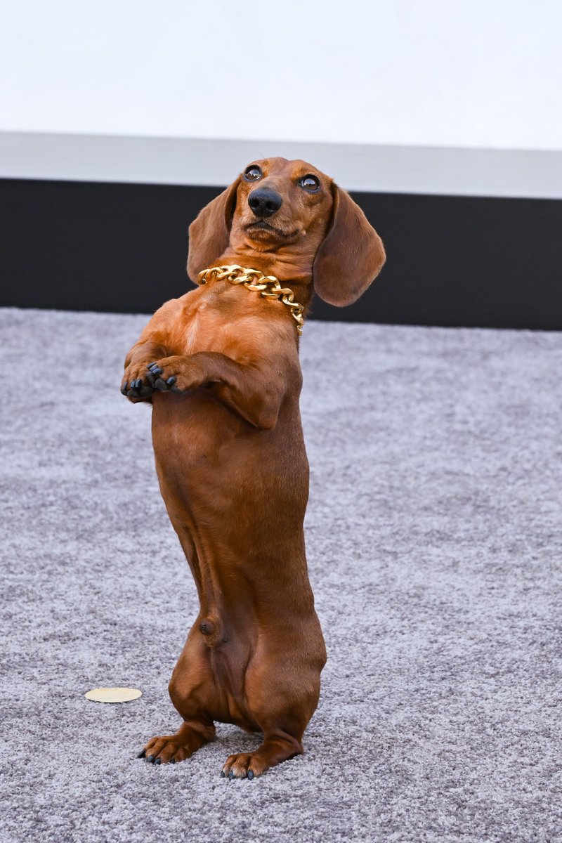 Complex Style tweet media