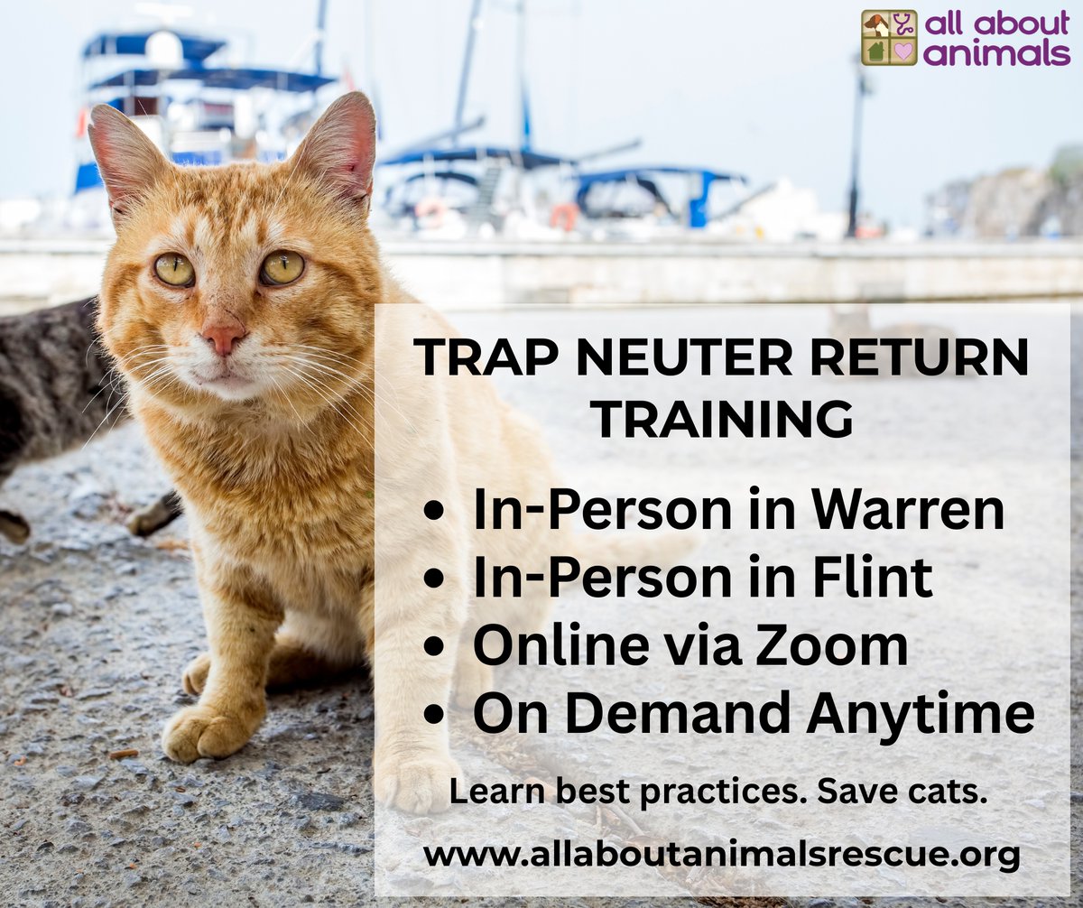Stray cats? Yes, there is something you can do! Trap Neuter Return. Learn how and why. Get a discount getting them fixed.

$25 fixes and vaccinates a community cat for rabies. Less fights. Healthier life. No more litters born into homelessness.

allaboutanimalsrescue.org/stray-cats/tnr…
