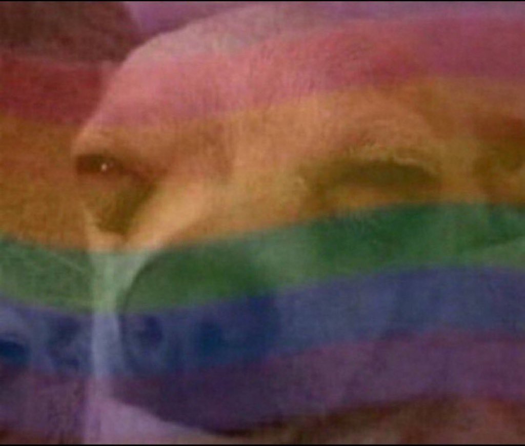 BIG LEO 🦅 tweet media