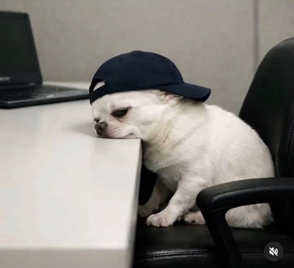 Pelumi Adeyemi tweet media