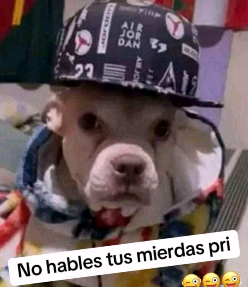 ELPATATAFF's tweet photo. @strayamountain @THECHARLYPRO1 @DiariodeMorelos https://t.co/nMd4pKG4d6