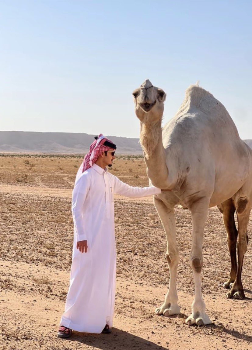 ابو نيفيز tweet media