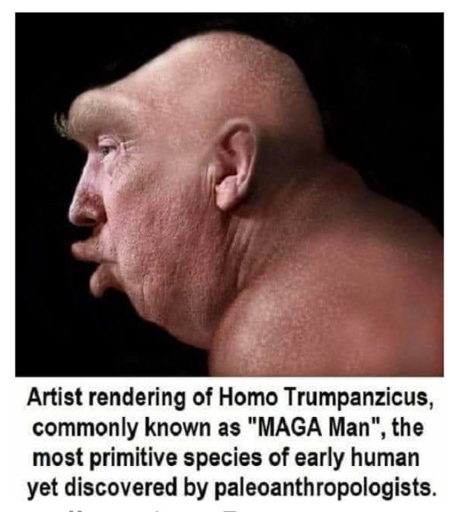 Noonie 🇺🇦🏴󠁧󠁢󠁳󠁣󠁴󠁿🇪🇺 tweet media