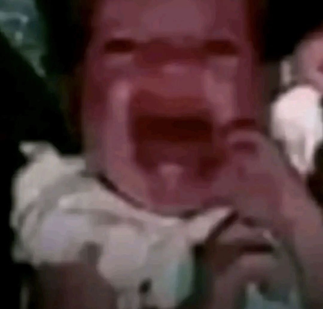 acervo taynew 🐶✈️ tweet media