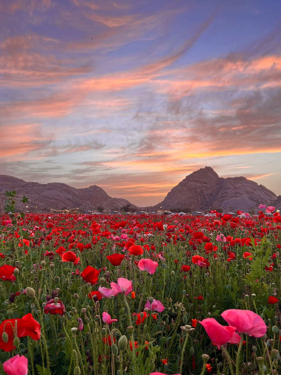 #فريق_طقس_المملكة 🇸🇦 tweet media