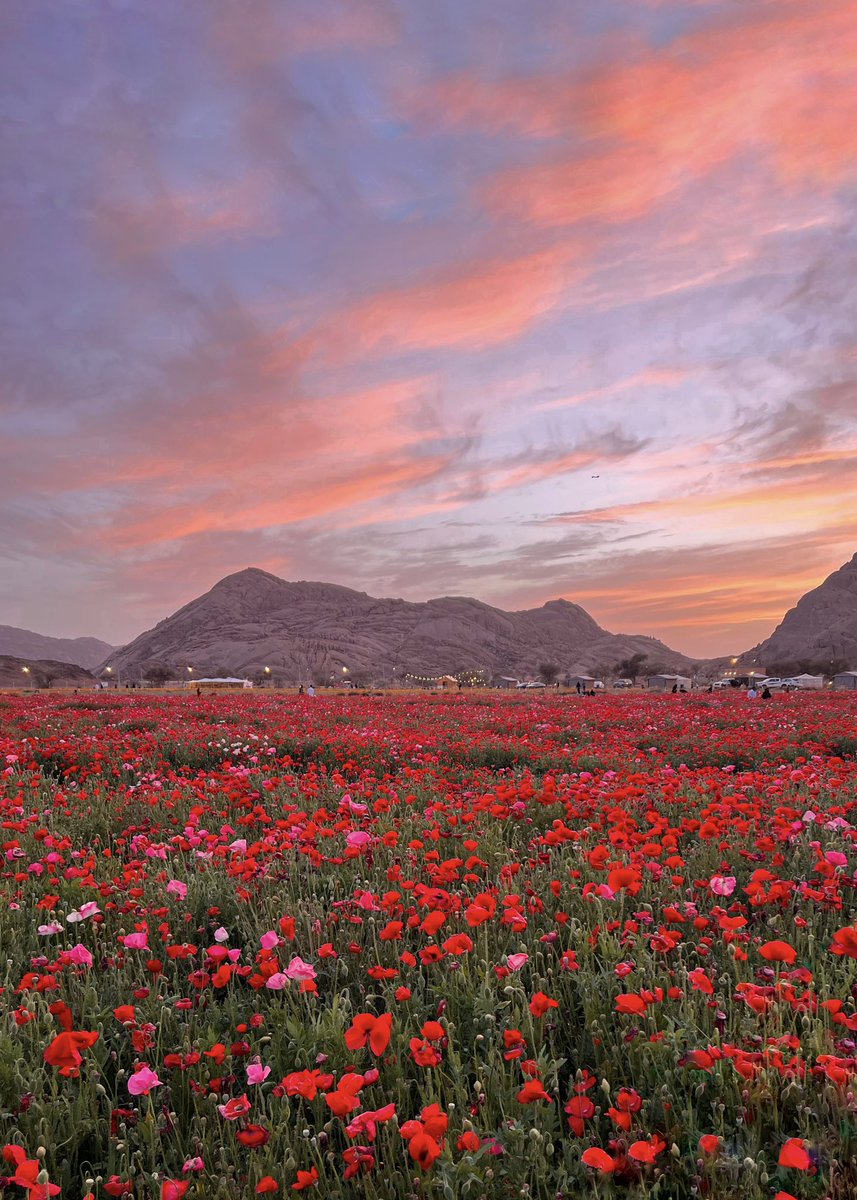 #فريق_طقس_المملكة 🇸🇦 tweet media