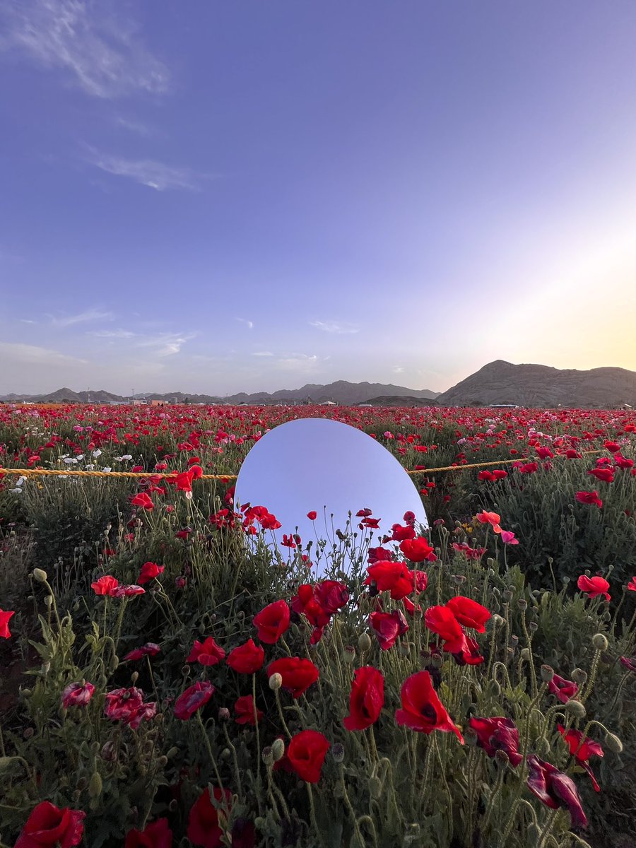 #فريق_طقس_المملكة 🇸🇦 tweet media