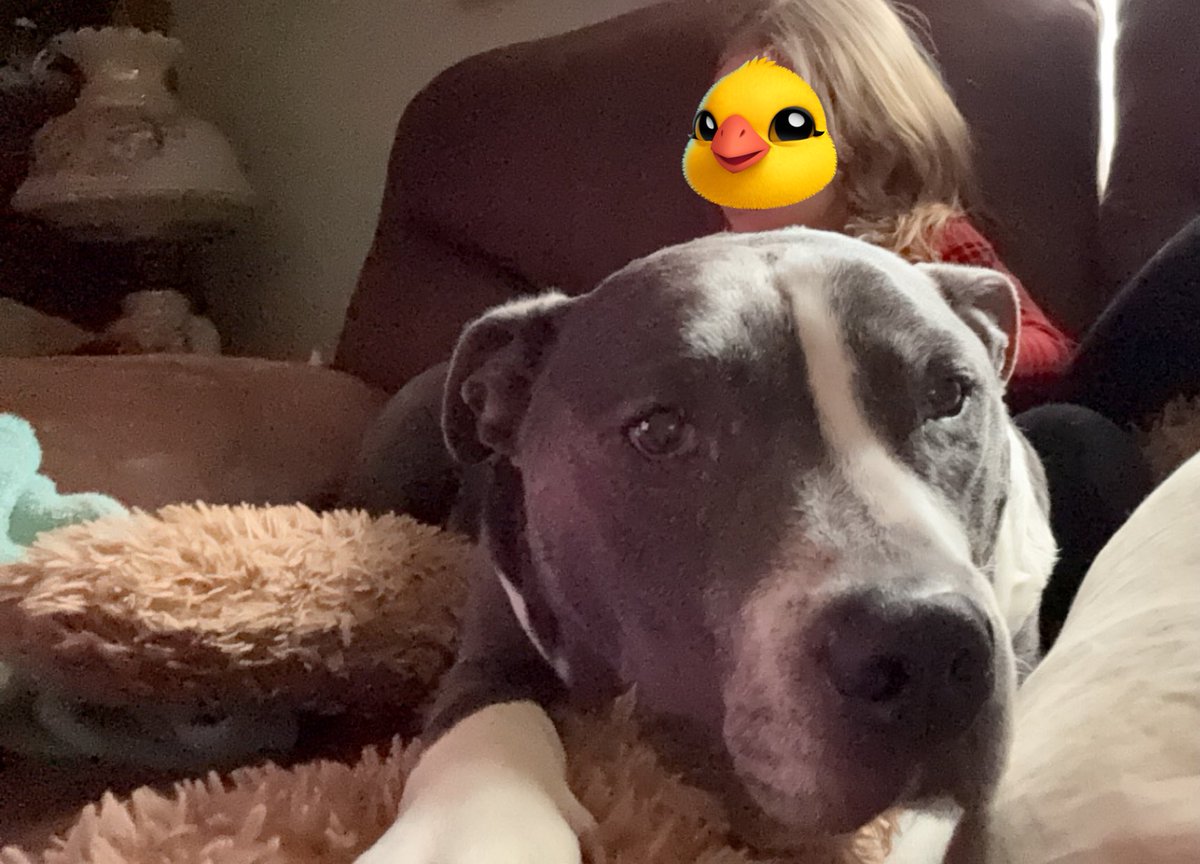 jacklynn tweet media