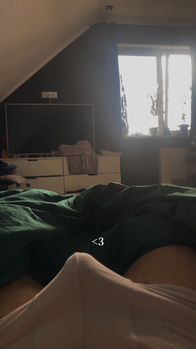 🇵🇱➡️Magnus Rex 🦖 tweet media