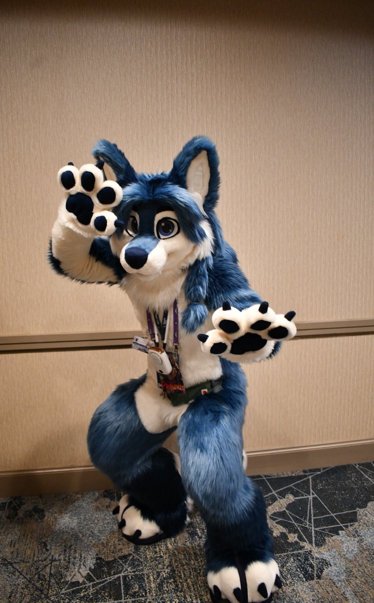 prawnzo 🐺 tweet media