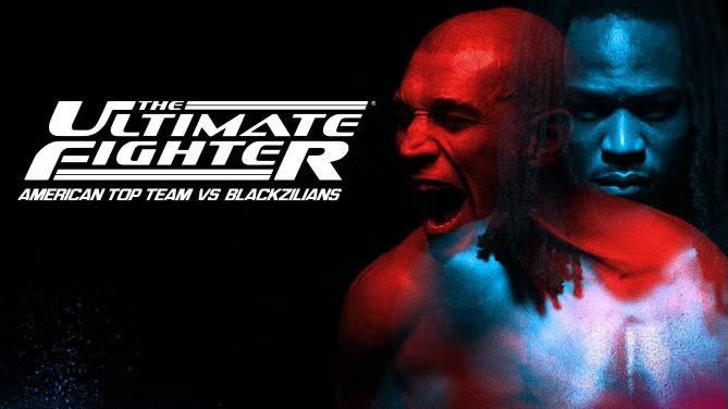 Owen 🥋 tweet media