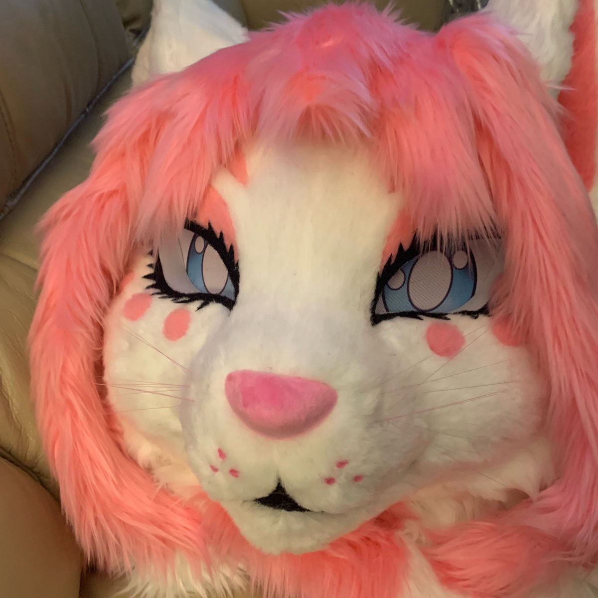 kiki fox/ valentina/ kigu tweet media