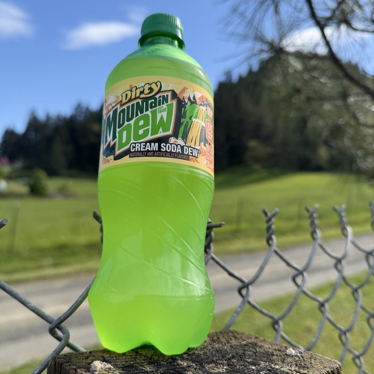 Nancy Calvillo tweet media