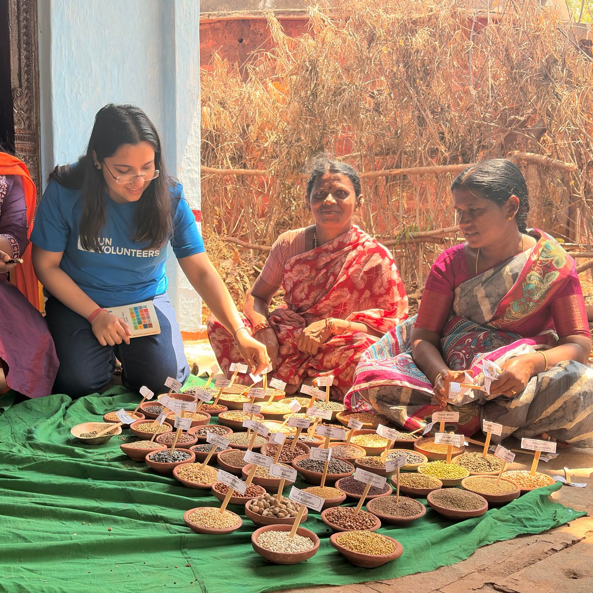 UN Volunteers tweet media