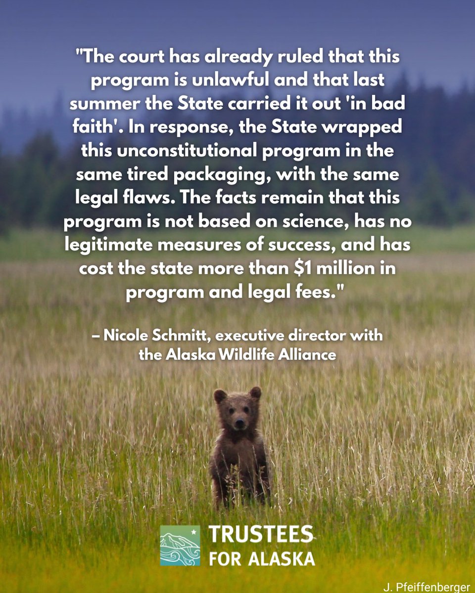 Trustees for Alaska tweet media