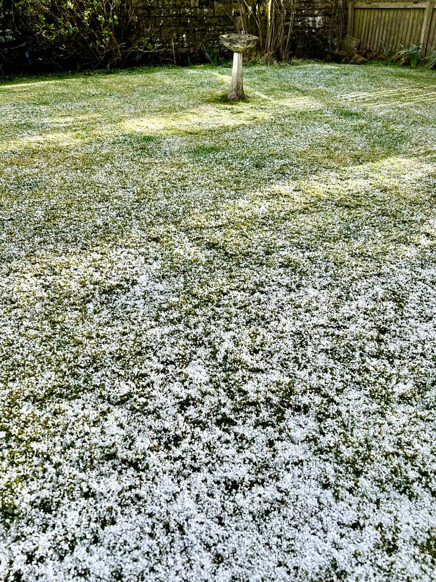 clive howard miers tweet media