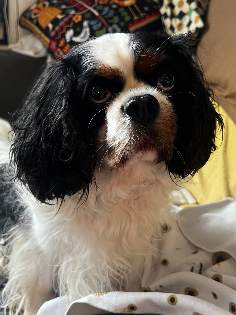 jean d4rk cross bitume 🇵🇸 tweet media