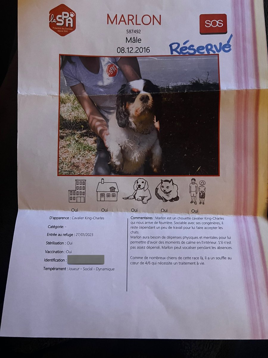 jean d4rk cross bitume 🇵🇸 tweet media