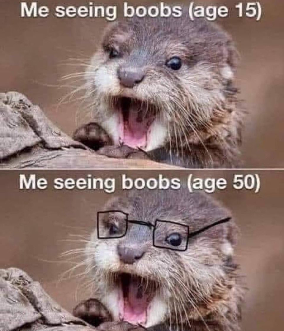 Freckled Liberty 🔥 tweet media