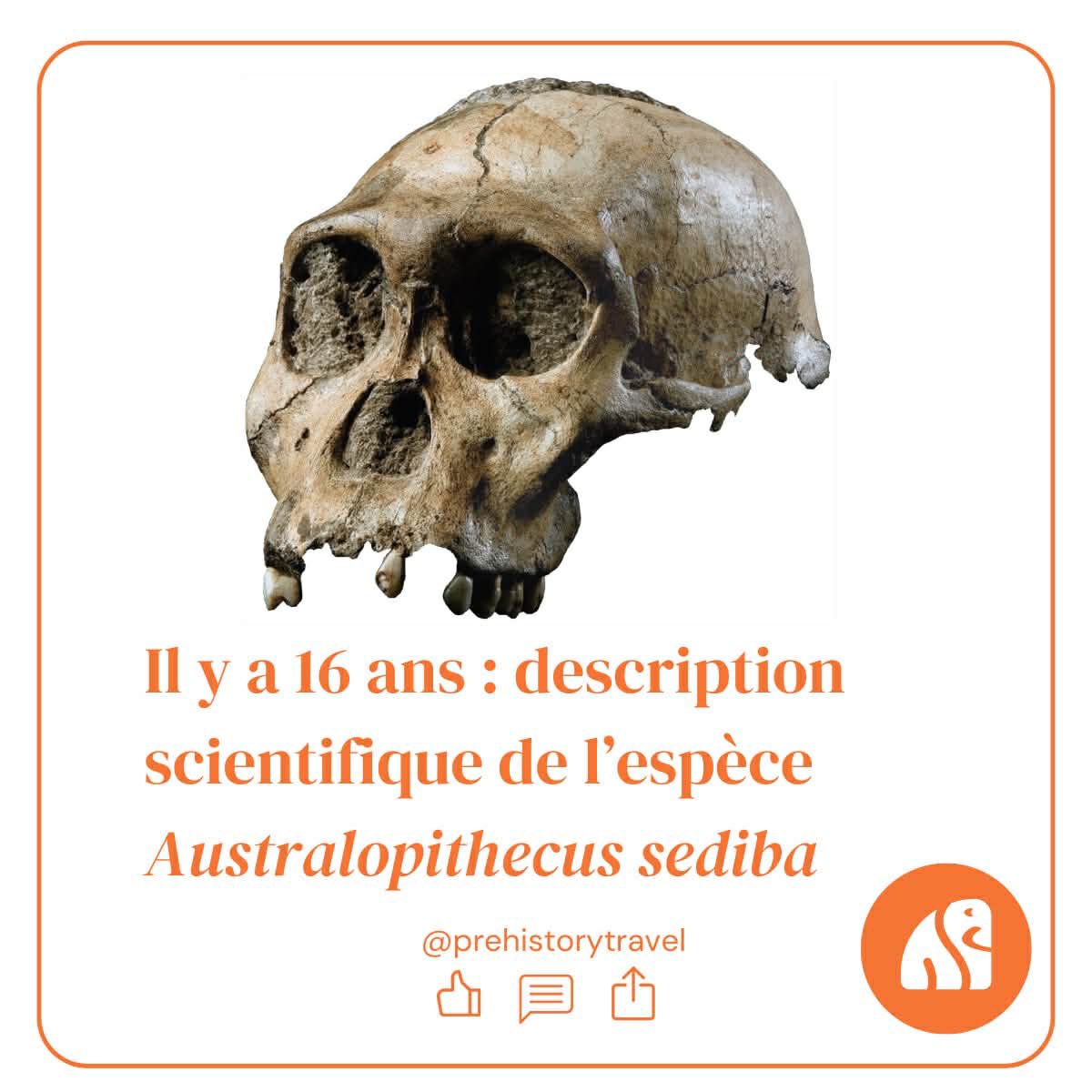 Prehistory Travel tweet media