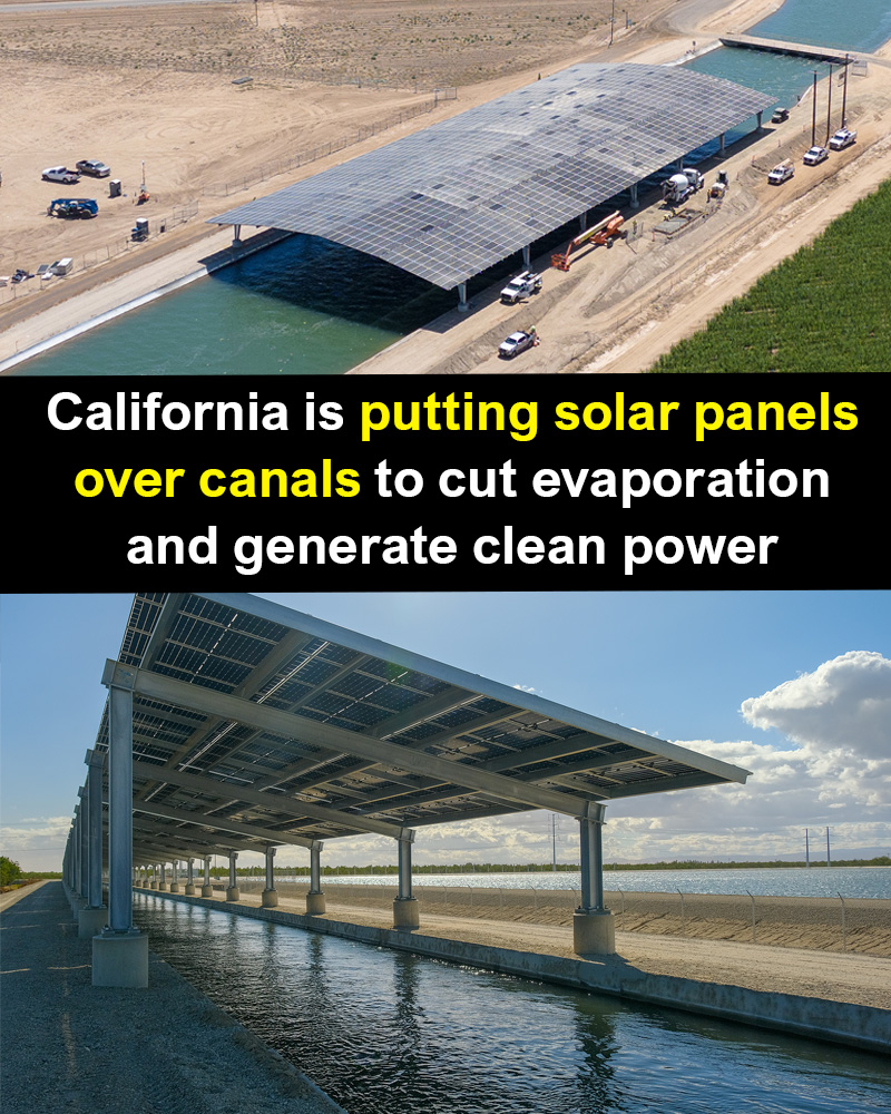 Architecture Hub tweet media