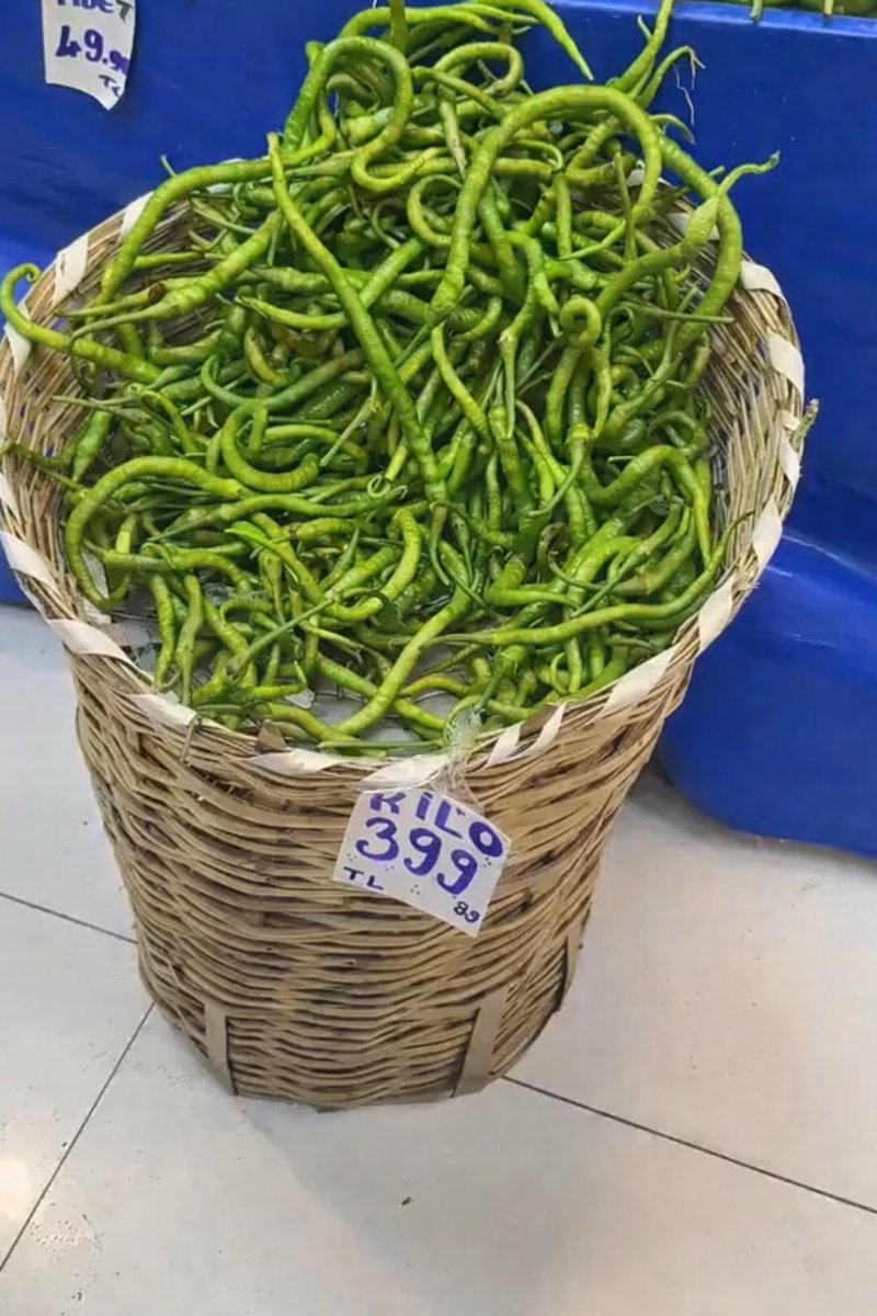 Ebru Çelik tweet media