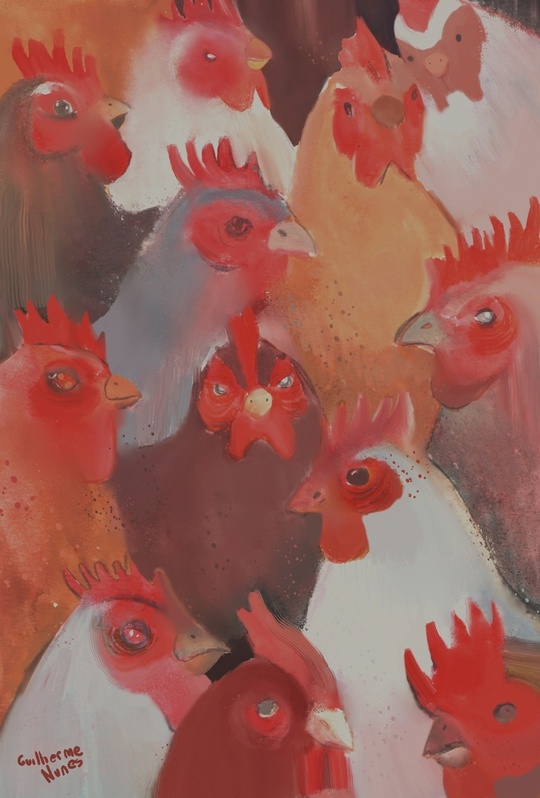 Guilherme Nunes tweet media