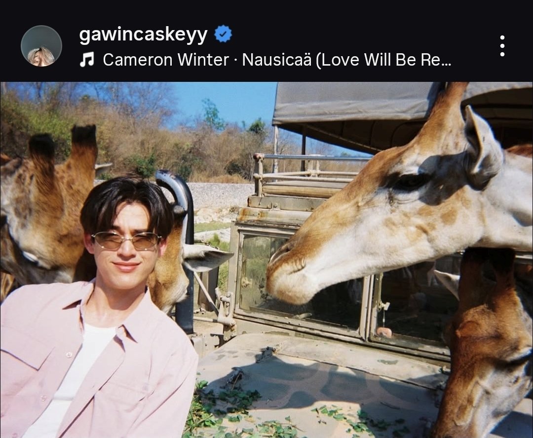 MAYA TV OFFICIAL tweet media