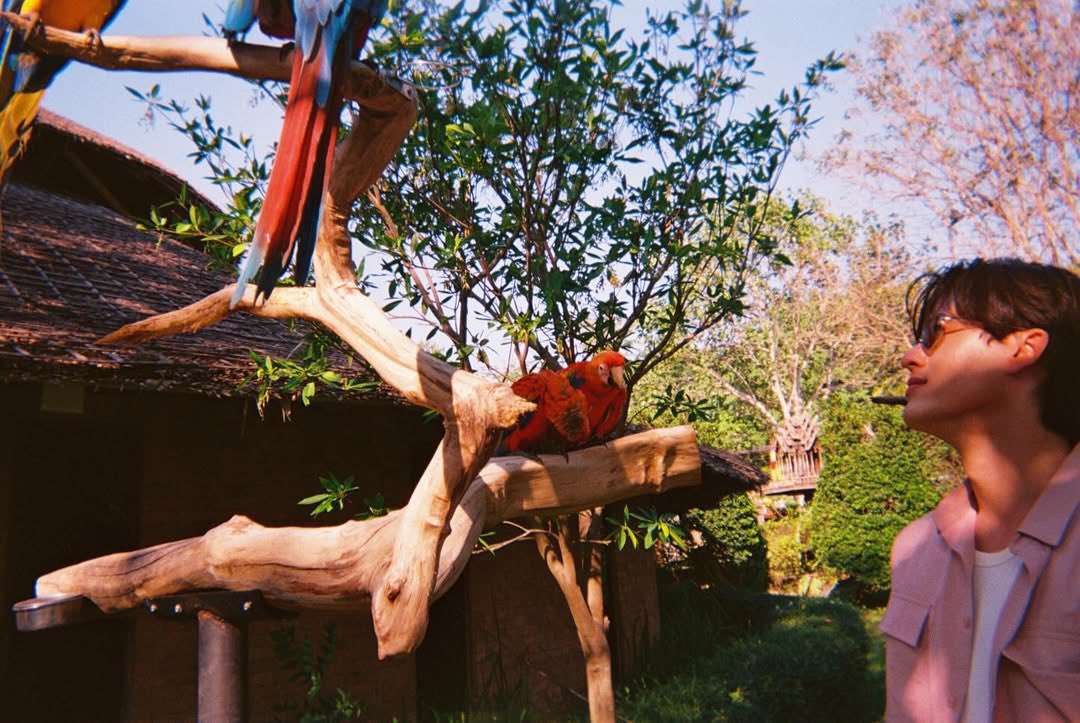 MAYA TV OFFICIAL tweet media