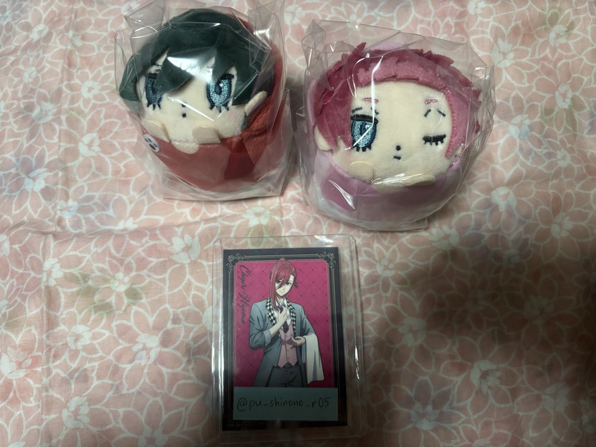 しのりい tweet media