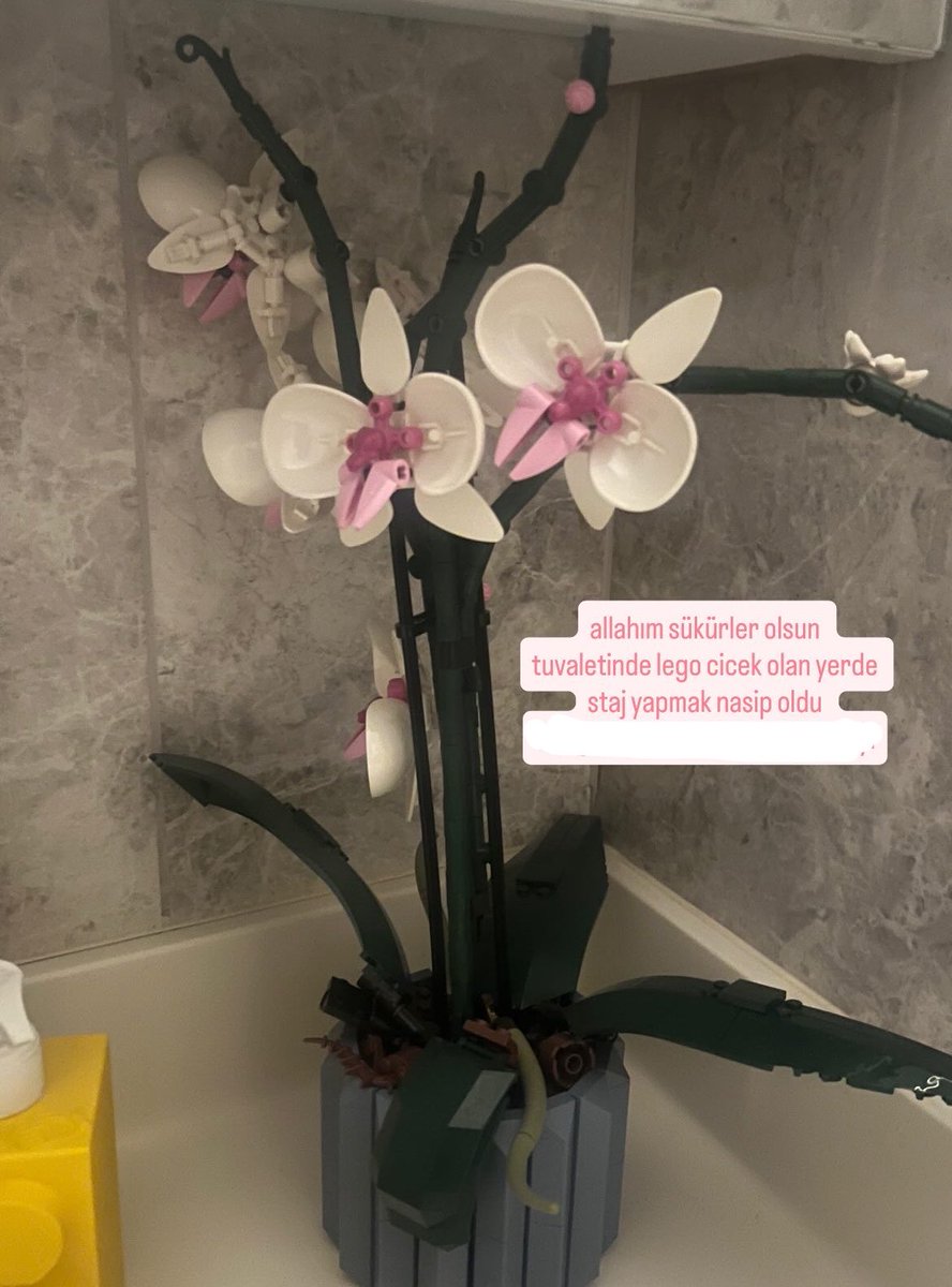 selin⋆˚꩜｡✧⋆ tweet media