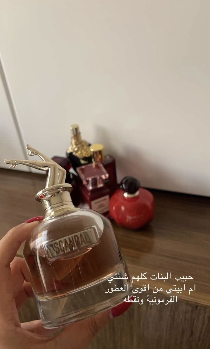 عالم النساء 💄🎀💗🪞 tweet media