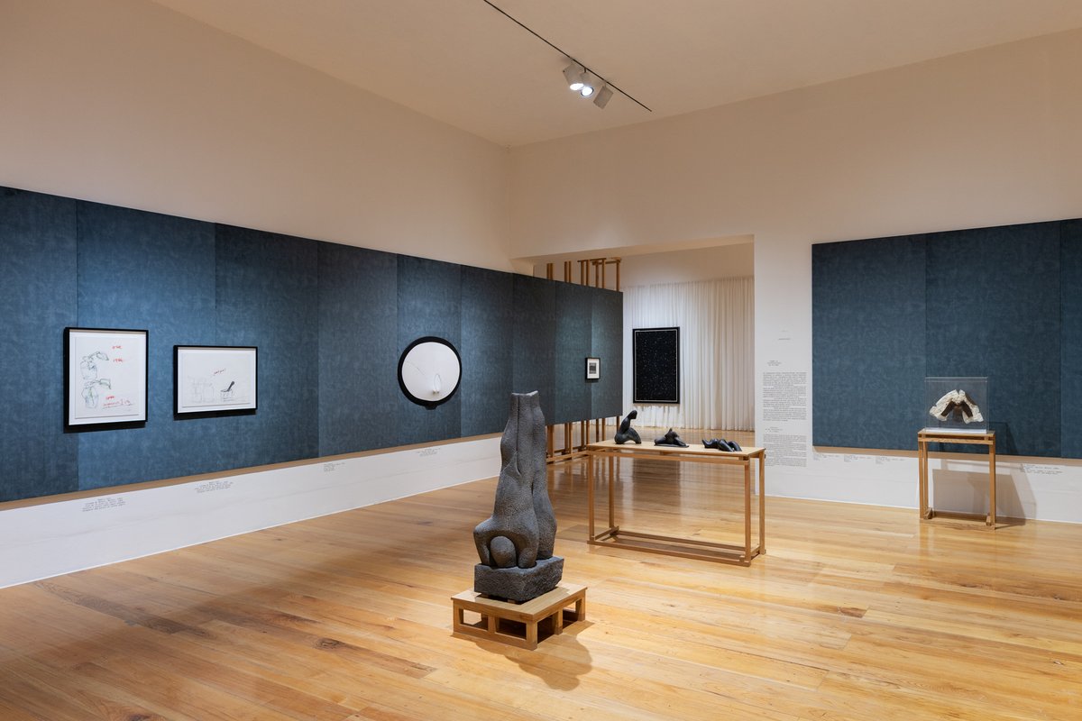 La Tempestad tweet media