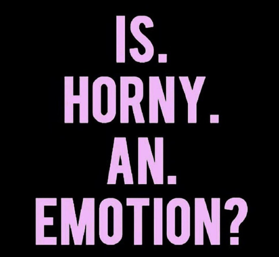 Kimberly Toureiro tweet media