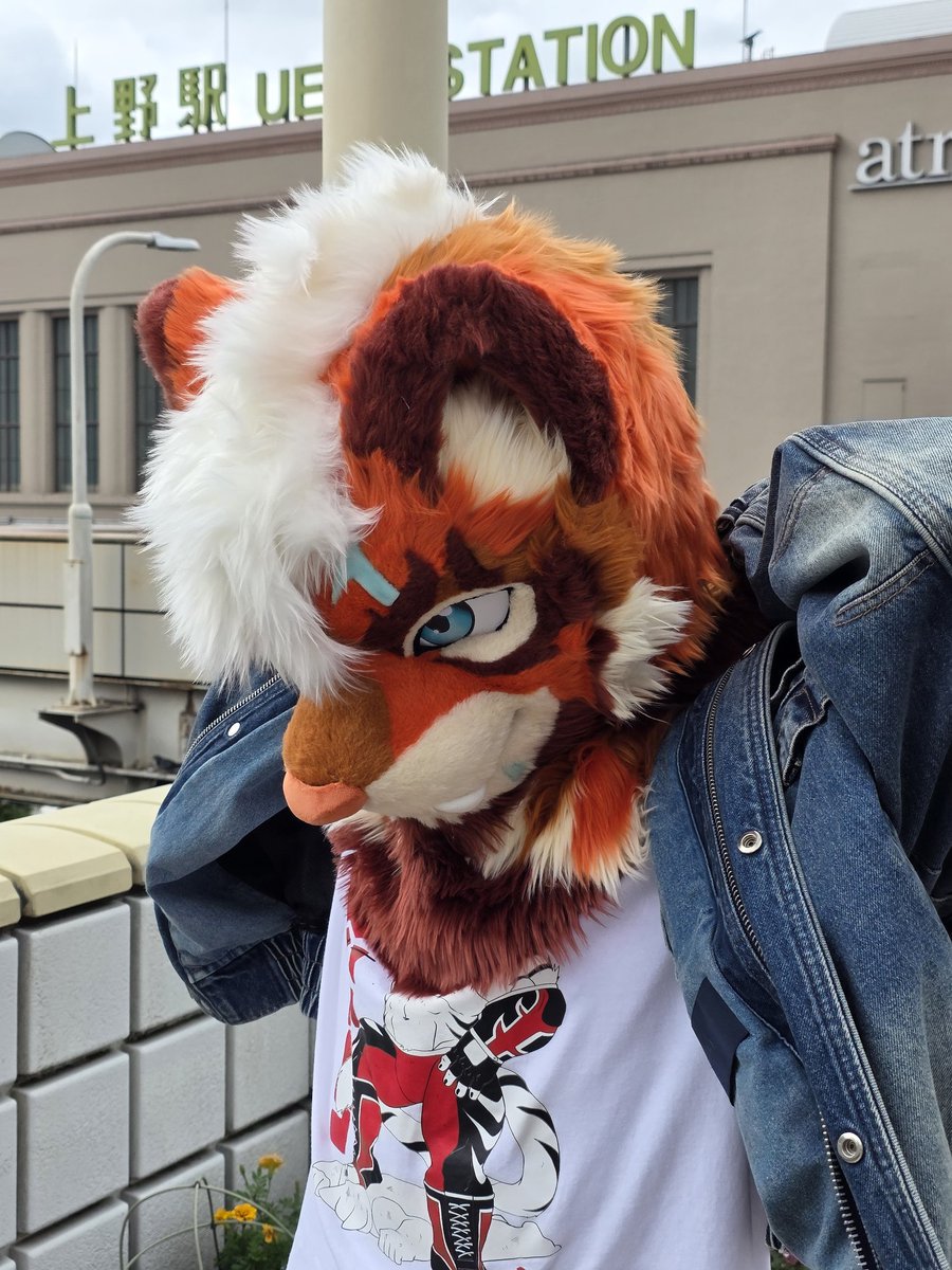 bpenguins_'s tweet image. 작년 9월 도쿄 우에노에서 하보크와 첫 출사를 나갔던게 갑자기 생각났어요, 둘 다 야외촬영은 처음이었고 전 퍼수트를 찍는게 아직 익숙하지 않아서 뭘 해야될지 모르는 상황이었죠. #bside