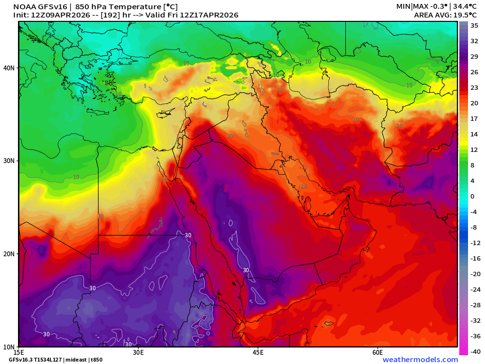 متعب الحربي tweet media