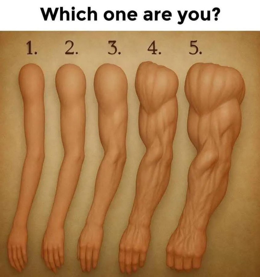 Trumplicans2024.com tweet media