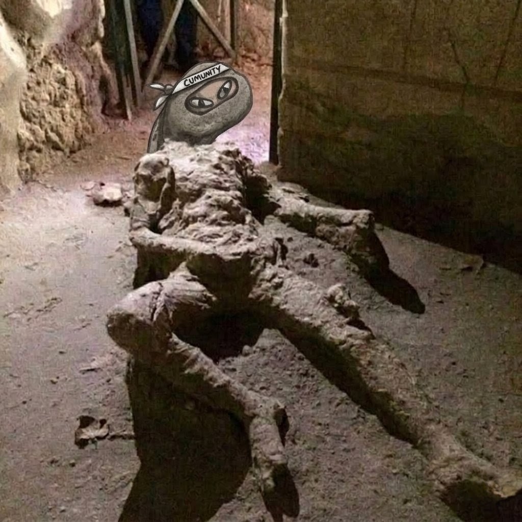 CyborgNinja🥷 tweet media