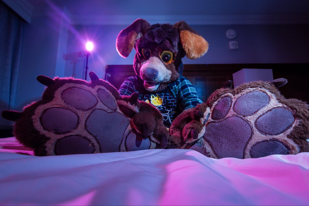 ThatBearDraws's tweet photo. @dire_walf The pics I got from you at Megaplex are def some of the best ones I’ve gotten! Keep slayin bro 🫶📸 https://t.co/BSD9dGsQrI