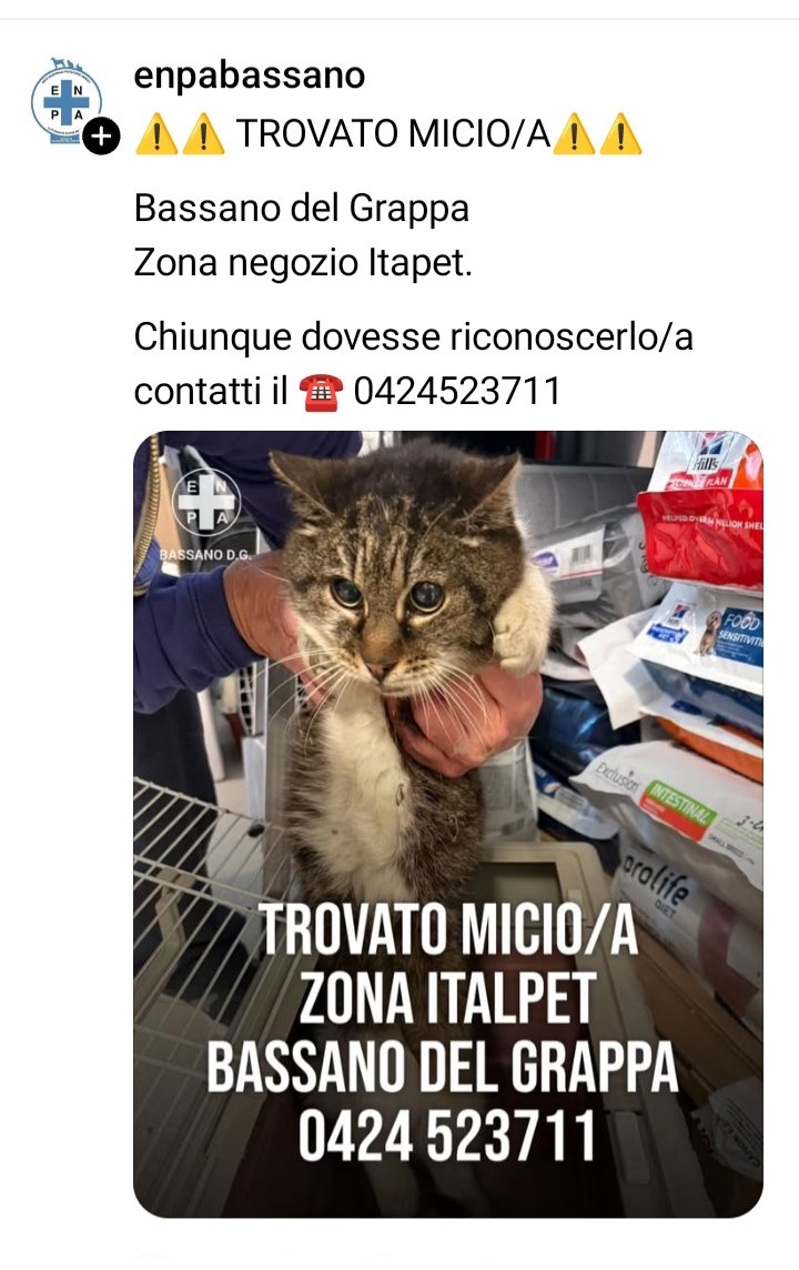 marcob0873 tweet media