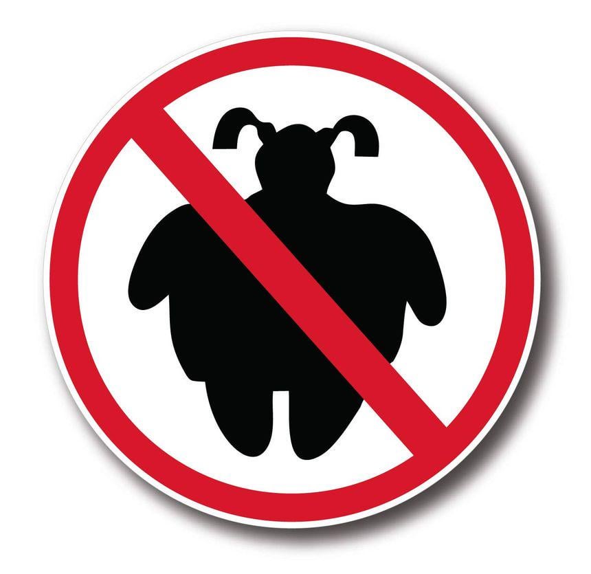 Anderson Martinez tweet media