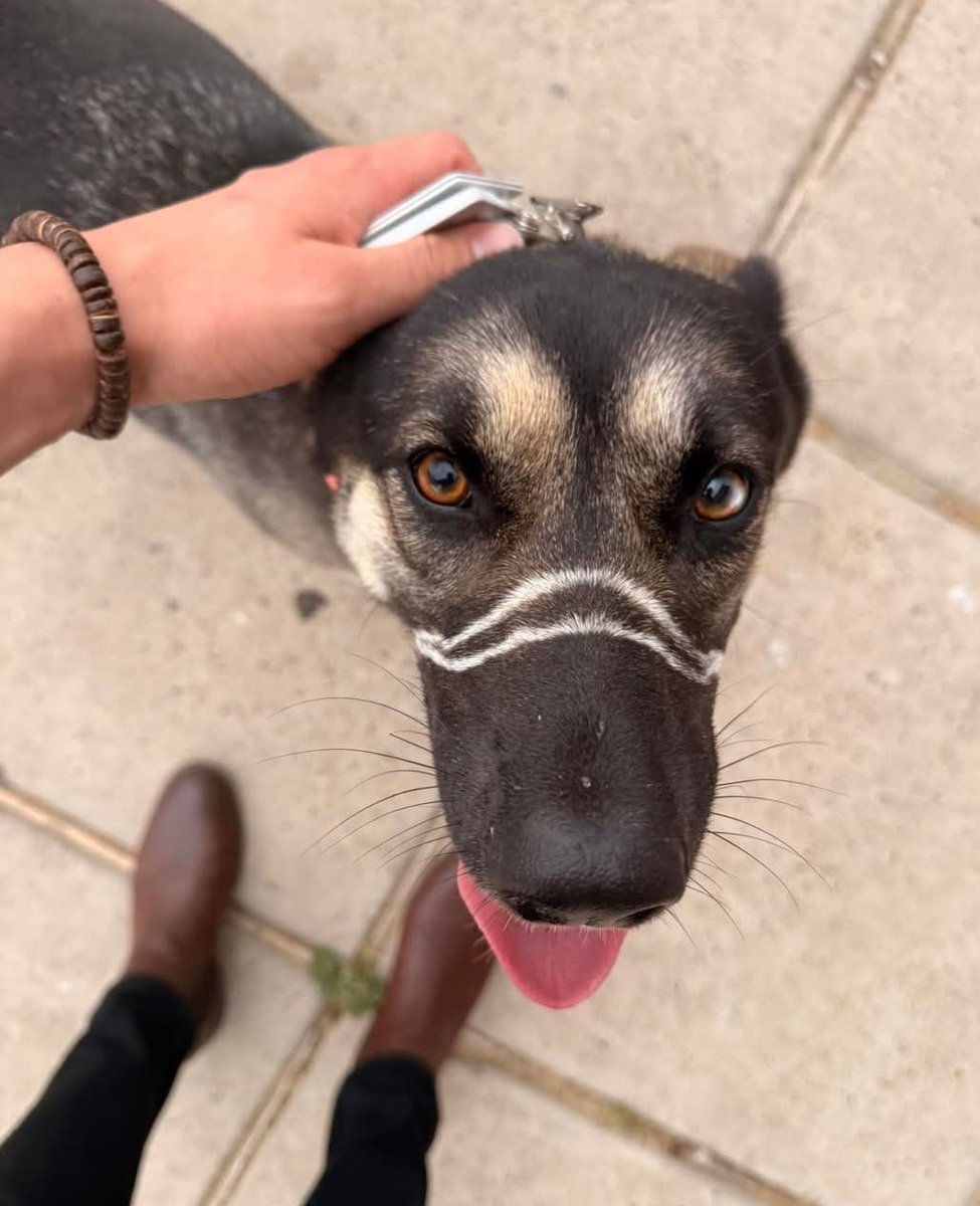 𝚓𝚎𝚗 tweet media