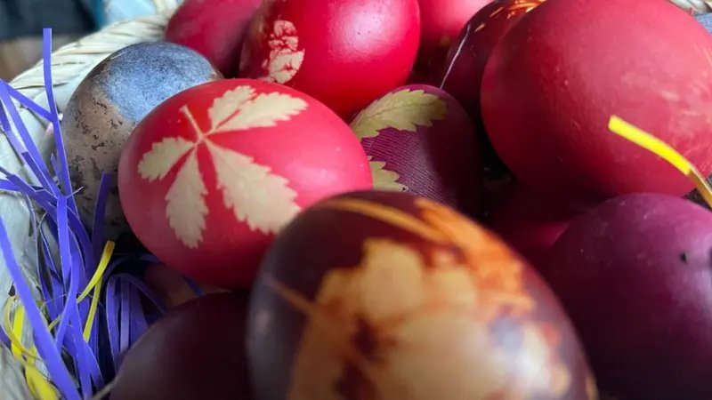 BBC NEWS na srpskom tweet media