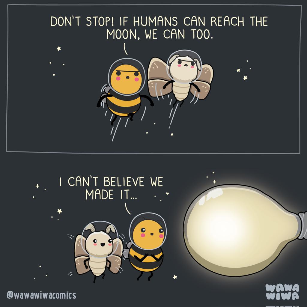 Andrés J. Colmenares tweet media