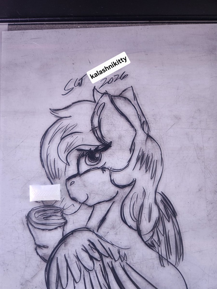 Kalashnikitty 🔞 tweet media