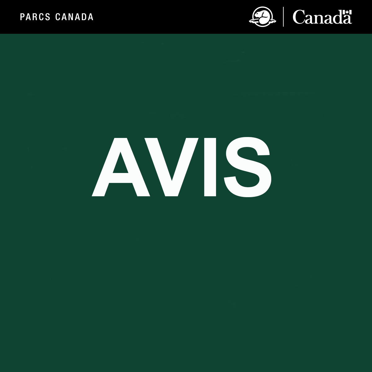 Parc national de la Pointe-Pelée, Parcs Canada tweet media