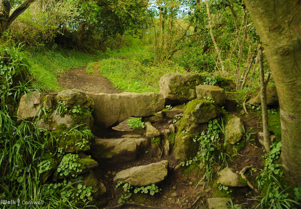 iwalkc's tweet image. Stile in Metha Wood on the St Newlyn East and Lappa Valley walk
Distance: 3.6 miles
Steepness grade: easy-moderate
Link to walk: iwalkcornwall.co.uk/w/248

#walk #Cornwall