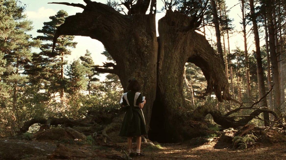 Film Updates tweet media