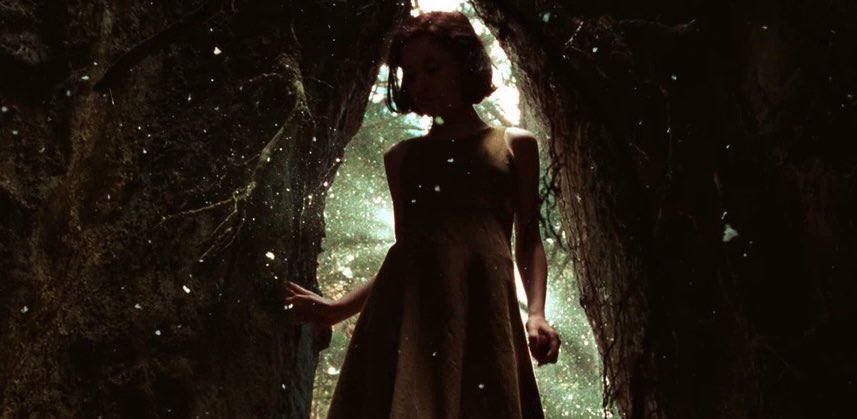 Film Updates tweet media